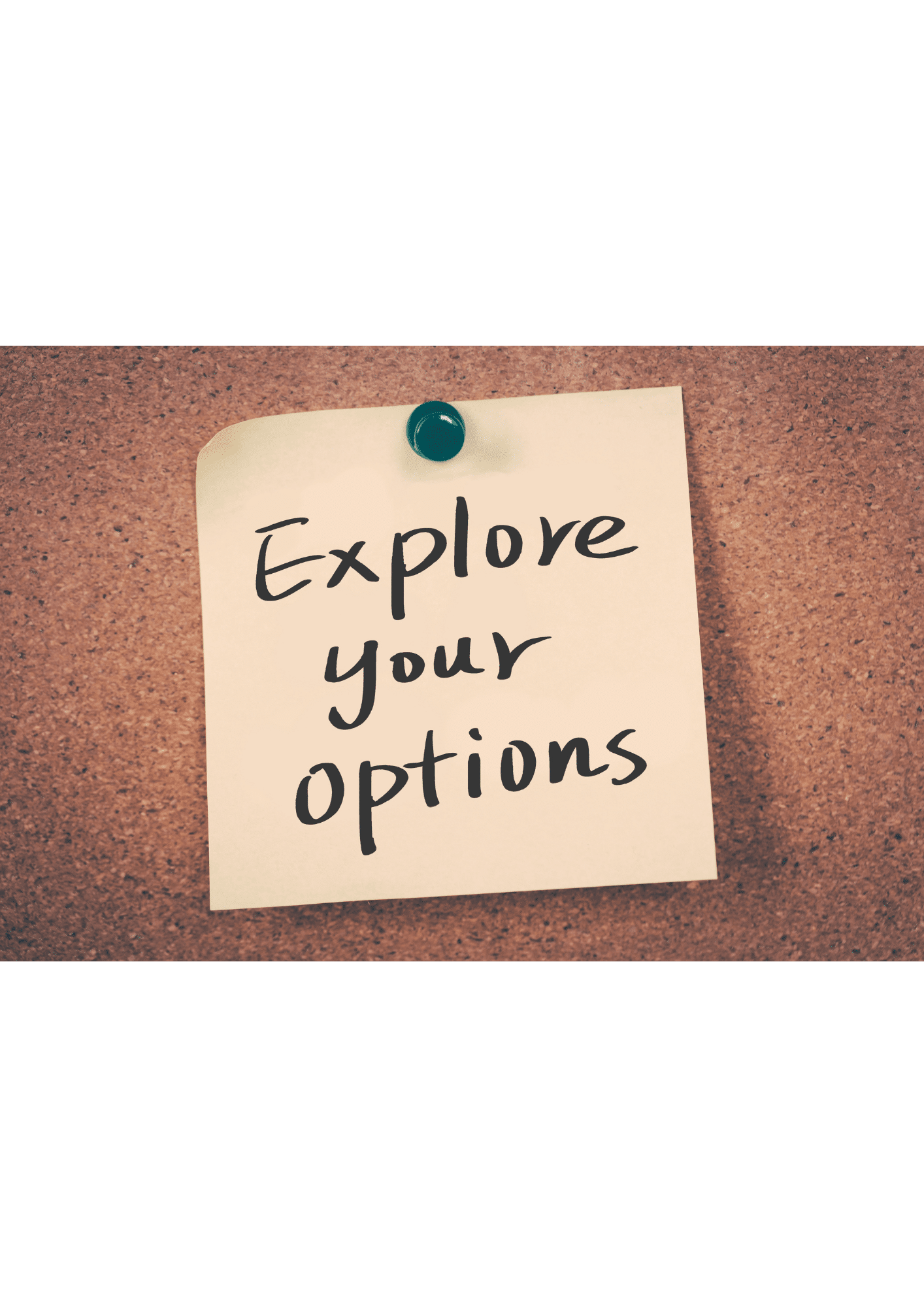 explore your options